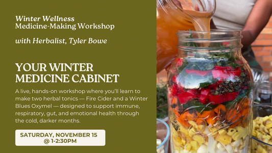 Winter Wellness Medicine Making Workshop | Virtual